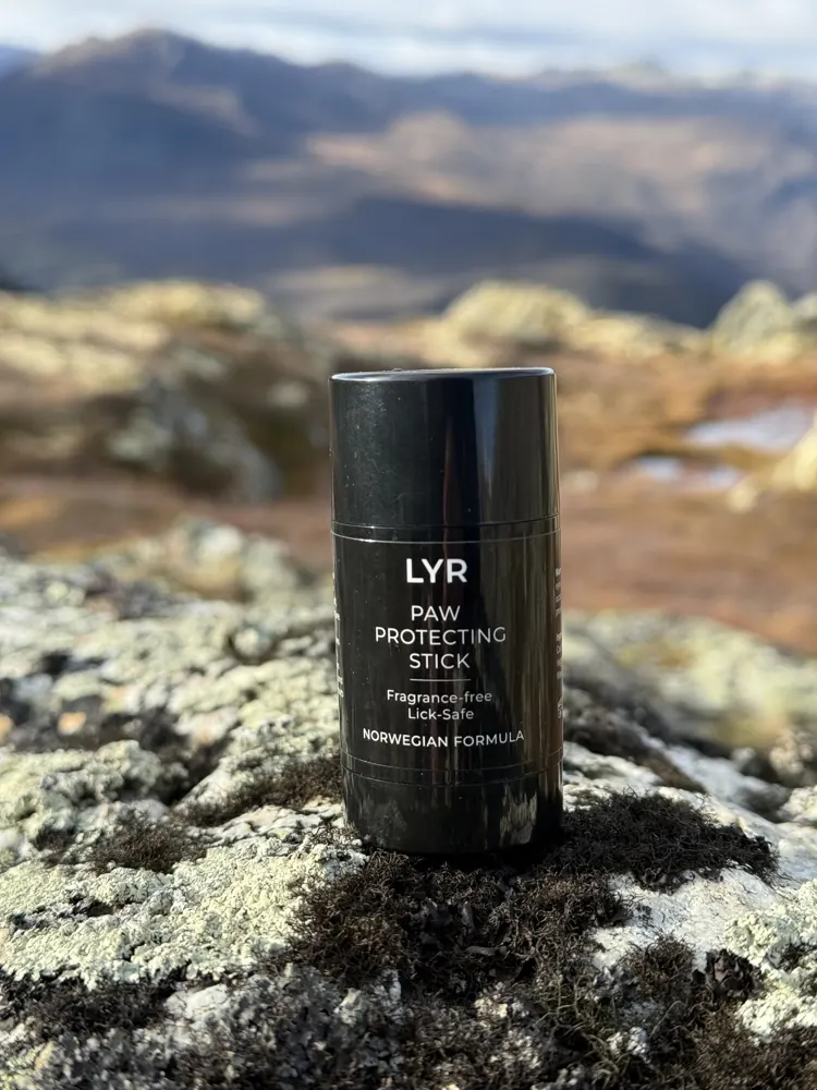 LYR Paw Protecting Stick – paw balm stick