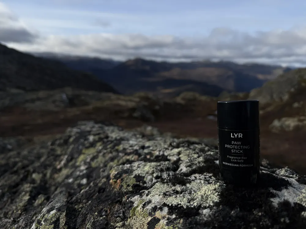 LYR Paw Protecting Stick on a rock with the Hemsedal mountains behind