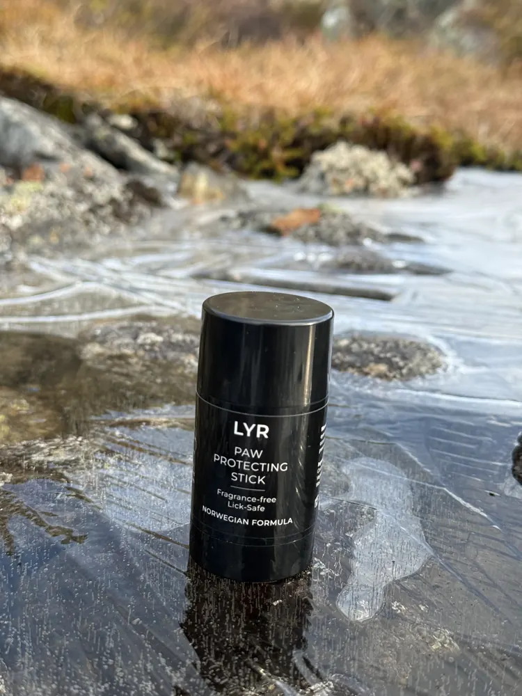 The LYR stick on ice