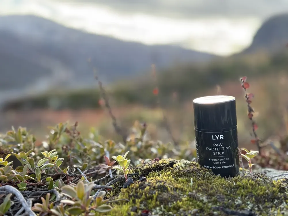 The LYR stick in moss and heather