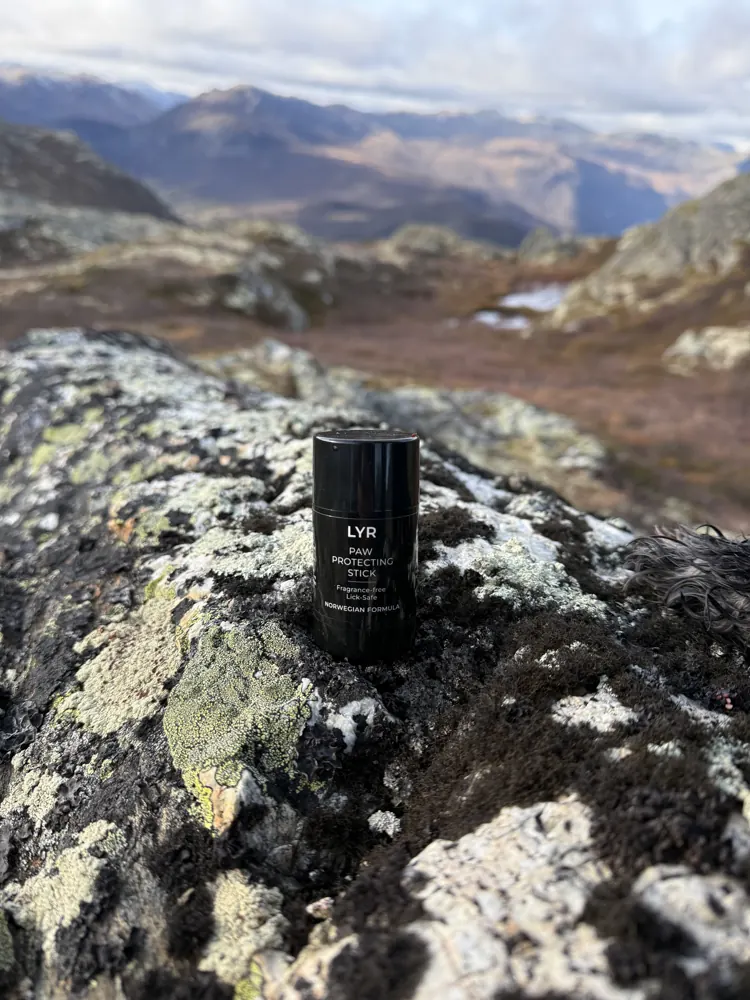 The LYR stick on a mountain ridge in Hemsedal
